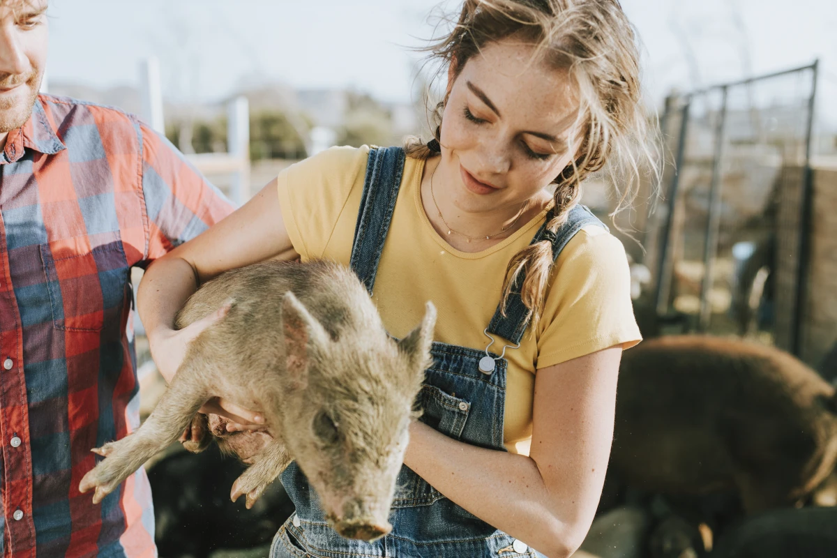 Le Droit des animaux : un enjeu de société à ne pas négliger